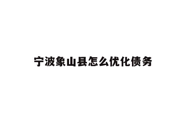 宁波象山县怎么优化债务