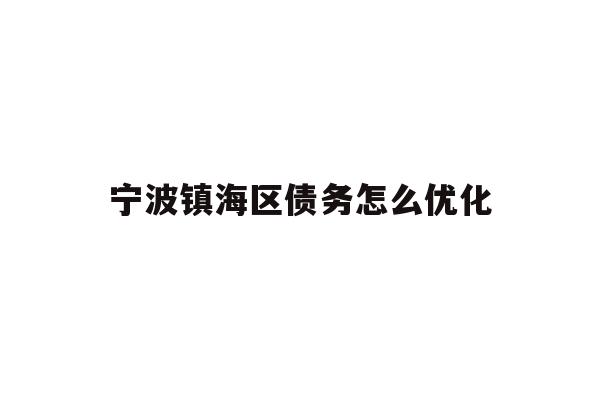宁波镇海区债务怎么优化