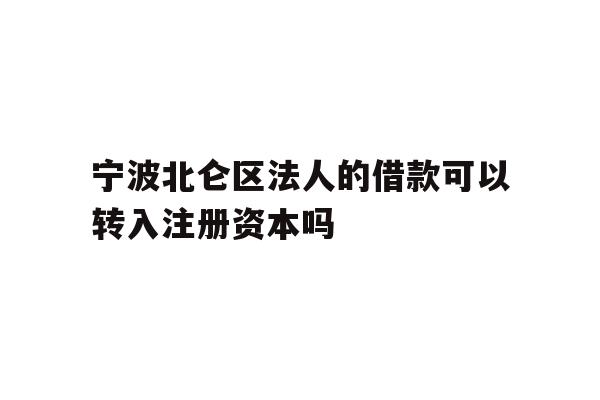 宁波北仑区法人的借款可以转入注册资本吗