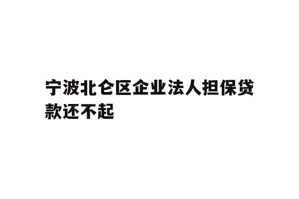 宁波北仑区企业法人担保贷款还不起