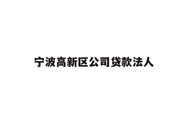 宁波高新区公司贷款法人