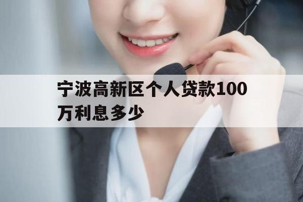 宁波高新区个人贷款100万利息多少