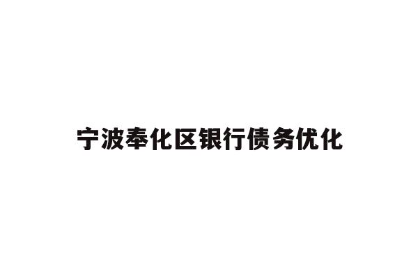 宁波奉化区银行债务优化
