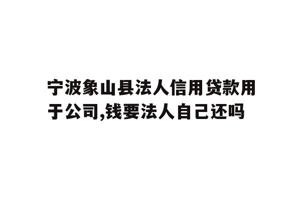 宁波象山县法人信用贷款用于公司,钱要法人自己还吗