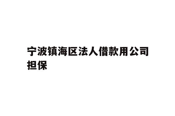 宁波镇海区法人借款用公司担保