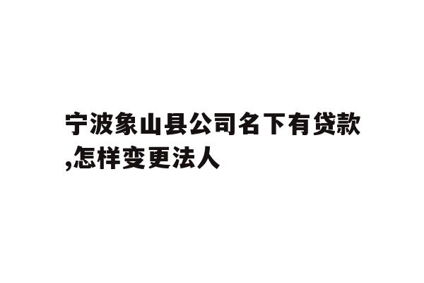 宁波象山县公司名下有贷款,怎样变更法人