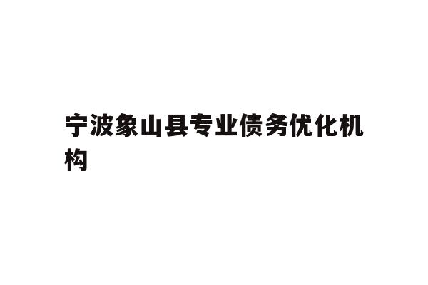 宁波象山县专业债务优化机构