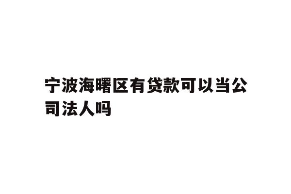 详细阅读:宁波海曙区有贷款可以当公司法人吗 宁波海曙区有贷款可以当公司法人吗