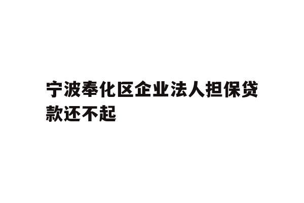 详细阅读:宁波奉化区企业法人担保贷款还不起 宁波奉化区企业法人担保贷款还不起