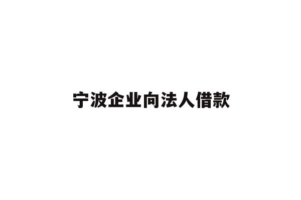 详细阅读:宁波企业向法人借款 宁波企业向法人借款