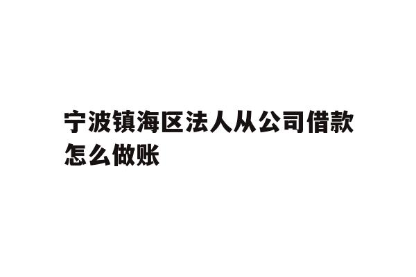 详细阅读:宁波镇海区法人从公司借款怎么做账 宁波镇海区法人从公司借款怎么做账