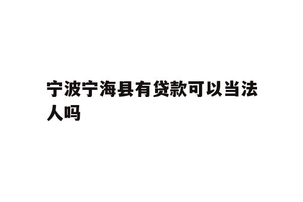 宁波宁海县有贷款可以当法人吗