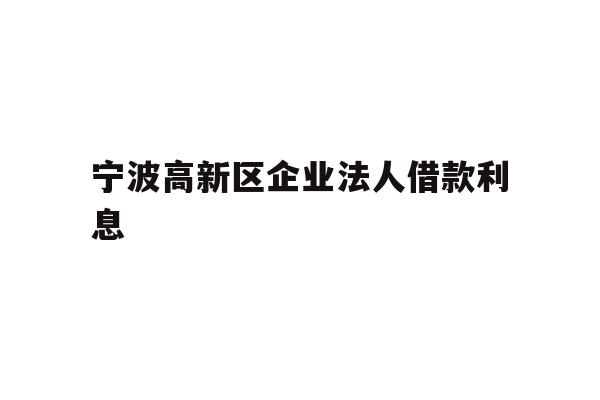 宁波高新区企业法人借款利息