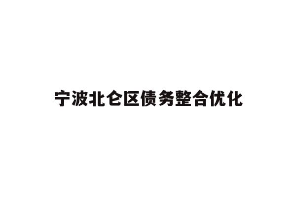 宁波北仑区债务整合优化