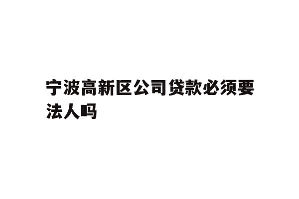 详细阅读:宁波高新区公司贷款必须要法人吗 宁波高新区公司贷款必须要法人吗