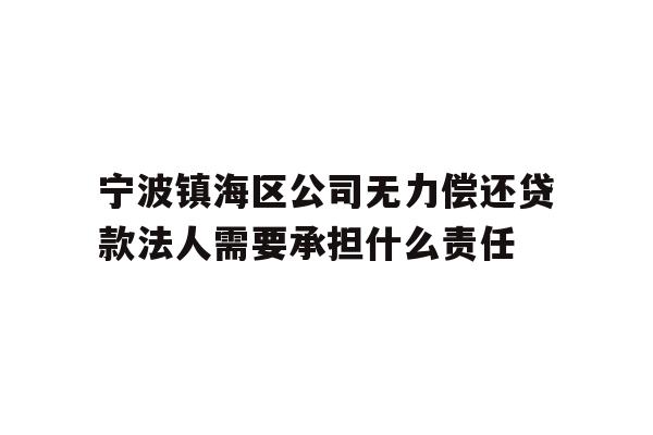 详细阅读:宁波镇海区公司无力偿还贷款法人需要承担什么责任 宁波镇海区公司无力偿还贷款法人需要承担什么责任