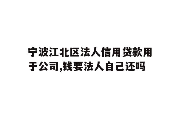 详细阅读:宁波江北区法人信用贷款用于公司,钱要法人自己还吗 宁波江北区法人信用贷款用于公司,钱要法人自己还吗
