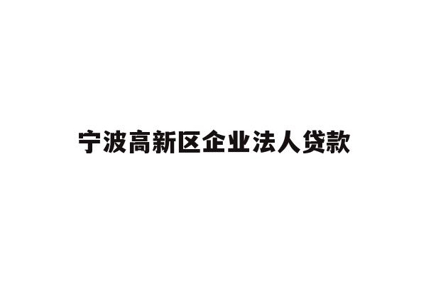宁波高新区企业法人贷款
