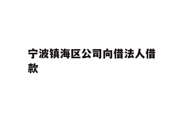 详细阅读:宁波镇海区公司向借法人借款 宁波镇海区公司向借法人借款