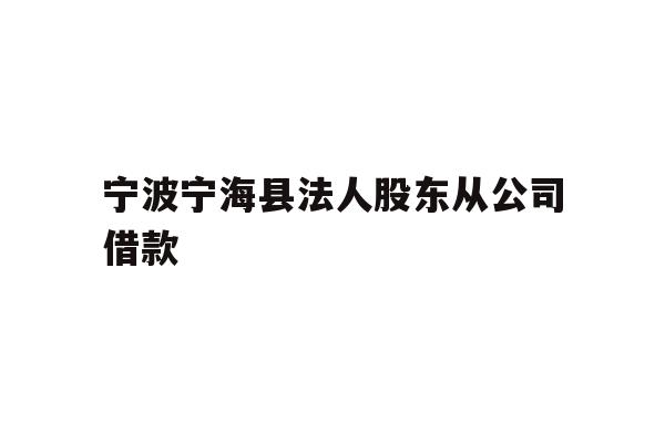 详细阅读:宁波宁海县法人股东从公司借款 宁波宁海县法人股东从公司借款