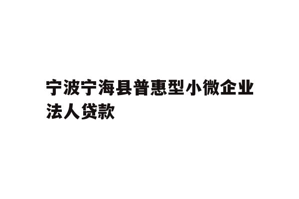 详细阅读:宁波宁海县普惠型小微企业法人贷款 宁波宁海县普惠型小微企业法人贷款