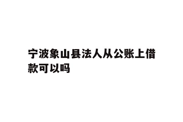 详细阅读:宁波象山县法人从公账上借款可以吗 宁波象山县法人从公账上借款可以吗