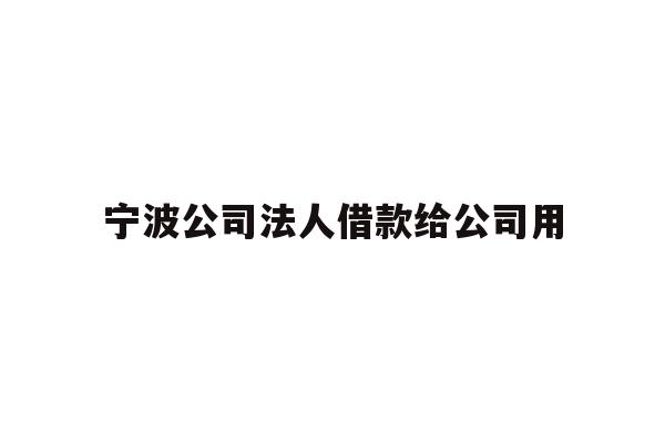 详细阅读:宁波公司法人借款给公司用 宁波公司法人借款给公司用