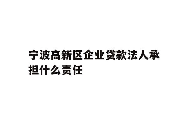 详细阅读:宁波高新区企业贷款法人承担什么责任 宁波高新区企业贷款法人承担什么责任