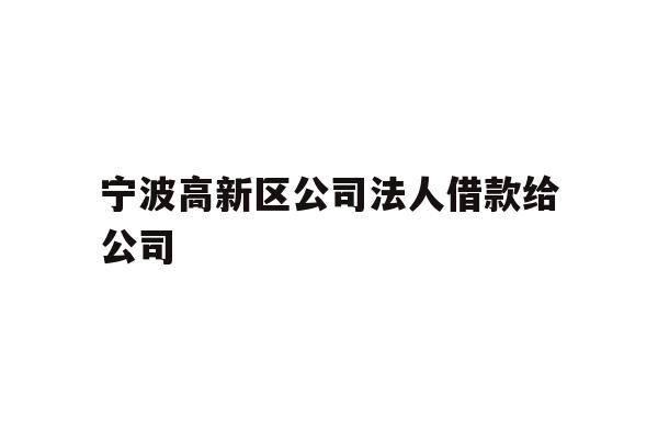 详细阅读:宁波高新区公司法人借款给公司 宁波高新区公司法人借款给公司