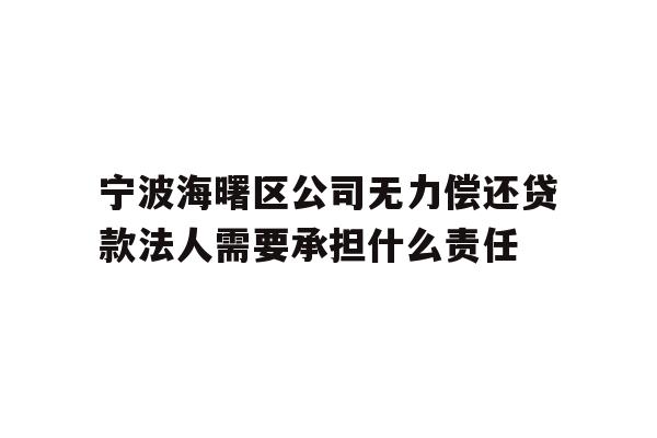 详细阅读:宁波海曙区公司无力偿还贷款法人需要承担什么责任 宁波海曙区公司无力偿还贷款法人需要承担什么责任