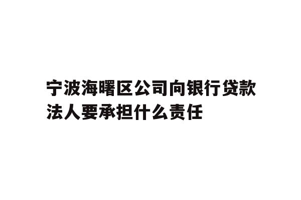 详细阅读:宁波海曙区公司向银行贷款法人要承担什么责任 宁波海曙区公司向银行贷款法人要承担什么责任