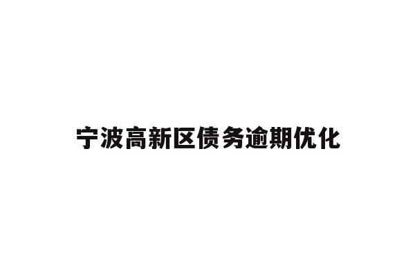 详细阅读:宁波高新区债务逾期优化 宁波高新区债务逾期优化