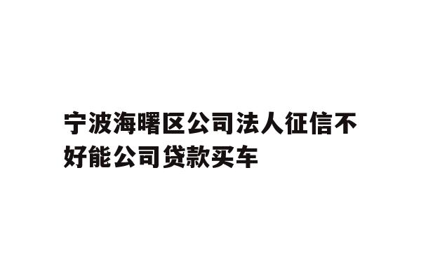 详细阅读:宁波海曙区公司法人征信不好能公司贷款买车 宁波海曙区公司法人征信不好能公司贷款买车