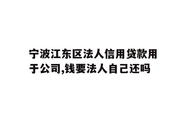 详细阅读:宁波江东区法人信用贷款用于公司,钱要法人自己还吗 宁波江东区法人信用贷款用于公司,钱要法人自己还吗