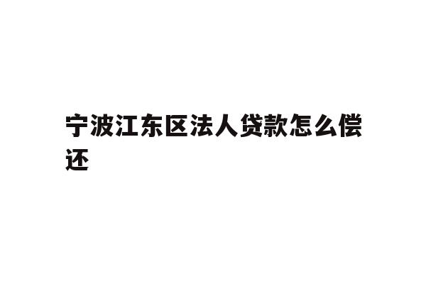 详细阅读:宁波江东区法人贷款怎么偿还 宁波江东区法人贷款怎么偿还