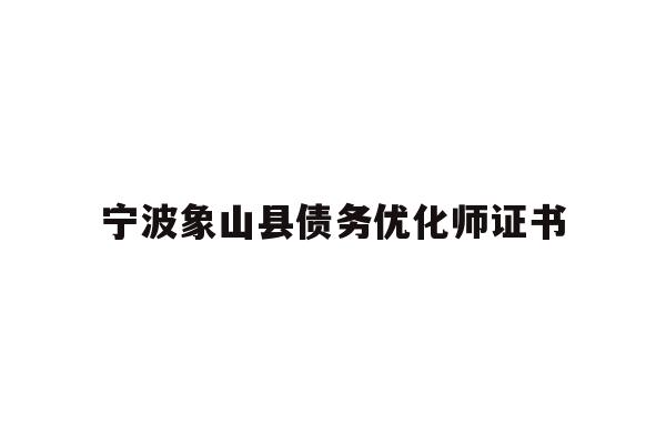 详细阅读:宁波象山县债务优化师证书 宁波象山县债务优化师证书
