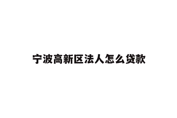 宁波高新区法人怎么贷款