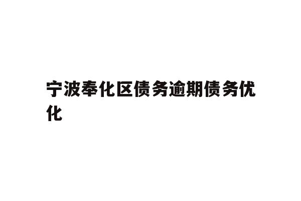 宁波奉化区债务逾期债务优化