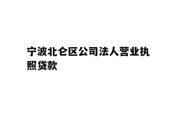 宁波北仑区公司法人营业执照贷款