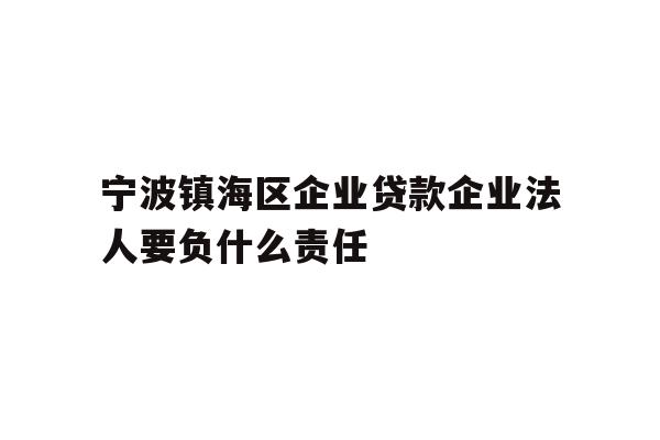 详细阅读:宁波镇海区企业贷款企业法人要负什么责任 宁波镇海区企业贷款企业法人要负什么责任