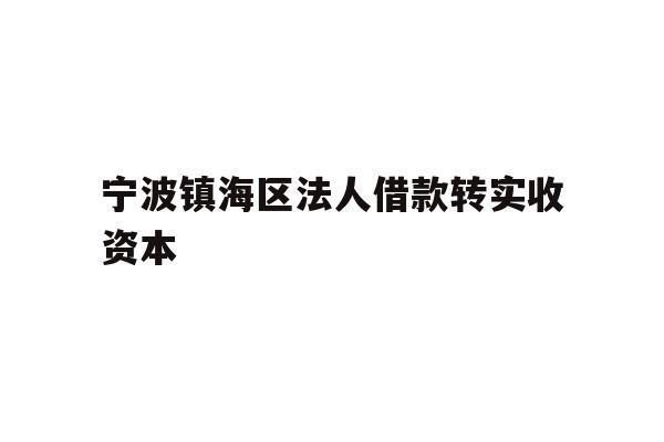 详细阅读:宁波镇海区法人借款转实收资本 宁波镇海区法人借款转实收资本
