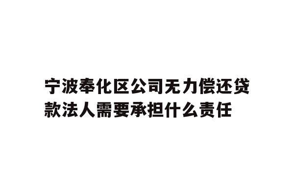 详细阅读:宁波奉化区公司无力偿还贷款法人需要承担什么责任 宁波奉化区公司无力偿还贷款法人需要承担什么责任