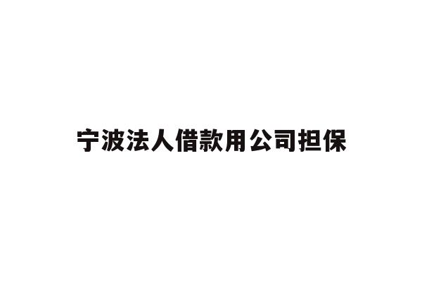 详细阅读:宁波法人借款用公司担保 宁波法人借款用公司担保
