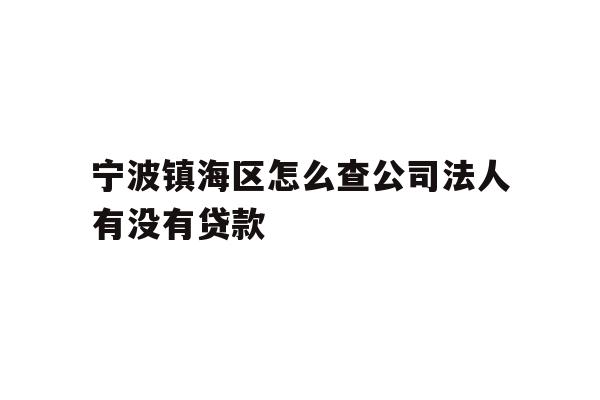 详细阅读:宁波镇海区怎么查公司法人有没有贷款 宁波镇海区怎么查公司法人有没有贷款