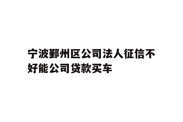 详细阅读:宁波鄞州区公司法人征信不好能公司贷款买车 宁波鄞州区公司法人征信不好能公司贷款买车