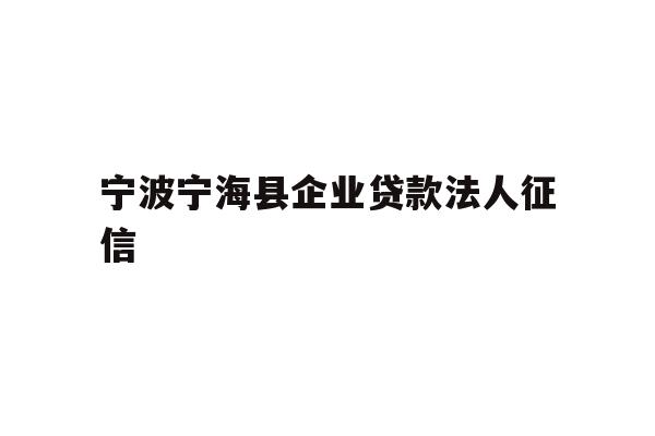 详细阅读:宁波宁海县企业贷款法人征信 宁波宁海县企业贷款法人征信