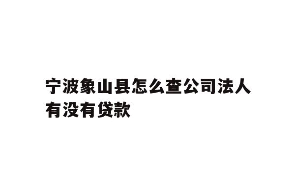 详细阅读:宁波象山县怎么查公司法人有没有贷款 宁波象山县怎么查公司法人有没有贷款