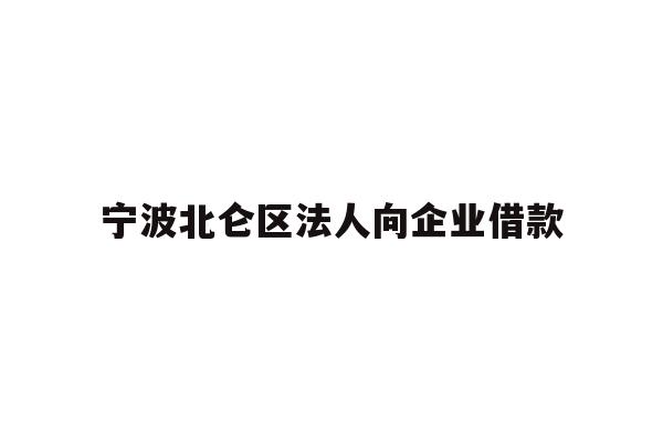 详细阅读:宁波北仑区法人向企业借款 宁波北仑区法人向企业借款