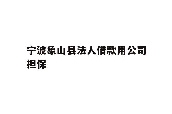 宁波象山县法人借款用公司担保