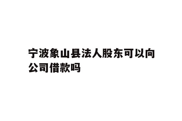 详细阅读:宁波象山县法人股东可以向公司借款吗 宁波象山县法人股东可以向公司借款吗